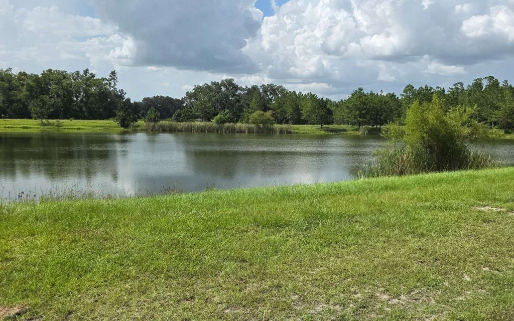 Photo of 747 SW Rosemary Drive, Lake City, FL 32024 (MLS # 127879)