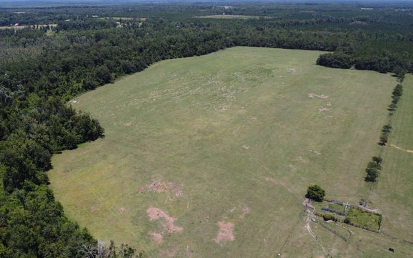 ADDRESS PRIVATE, WELLBORN, FL 32094 - Image ccb11ab45a43b44a712dcfe898efe16d/3407780385