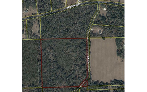 59TH DR, WELLBORN, FL 32094 - Image cdc39a4a0c02a72ca86cd08ebbc5c062/594627980