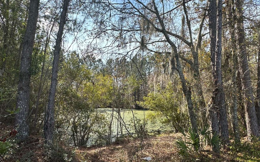 Photo of TBD SW Commerce Dr, Lake City, FL 32025 (MLS # 128754)