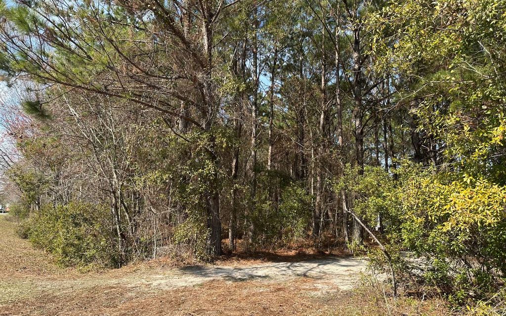 Photo of TBD SW Commerce Dr, Lake City, FL 32025 (MLS # 128754)