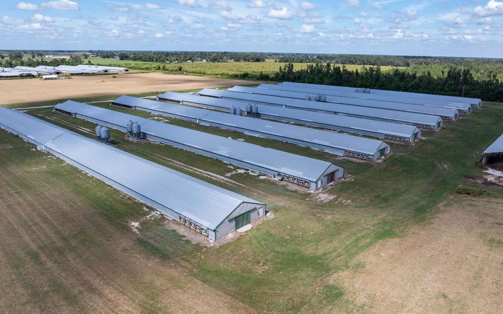 Photo of 1175 SW Cr 351, Mayo, FL 32066 (MLS # 128842)