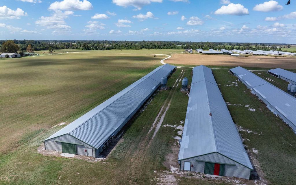 Photo of 1175 SW Cr 351, Mayo, FL 32066 (MLS # 128842)