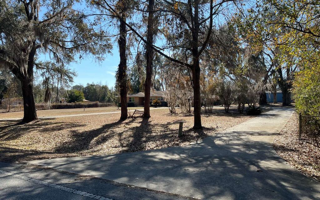 Photo of 924 SE Racetrack Lane, Lake City, FL 32025 (MLS # 130258)