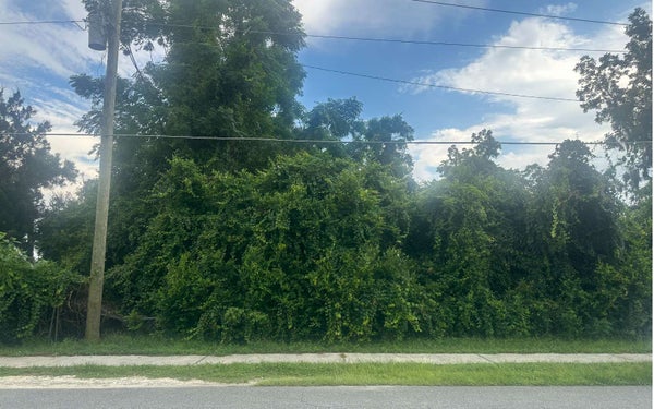 632 NE MARTIN LUTHER KING ST, LAKE CITY, FL 32055 - Image dfe44b0dd41b2202d57ee02b80d68e14/946586292