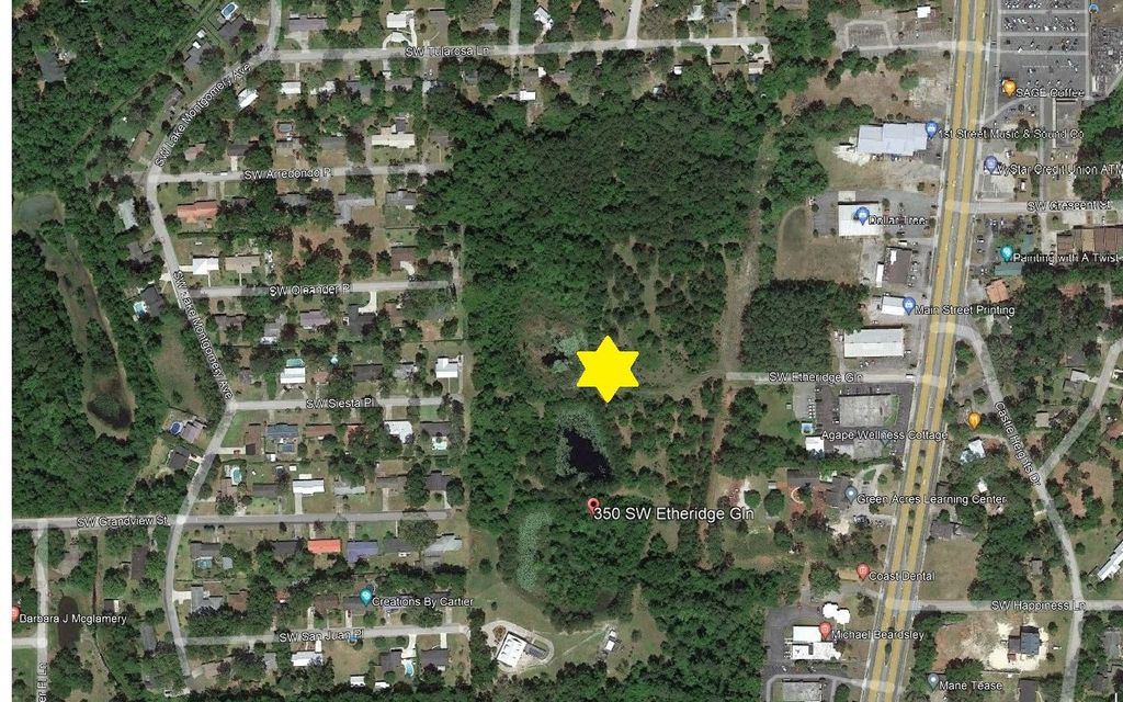 Photo of 350 SW Etheridge Glen, Lake City, FL 32025 (MLS # 125394)