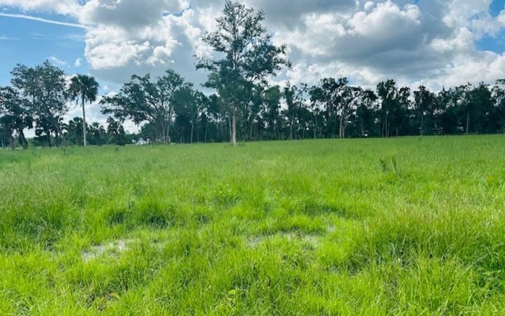 Photo of 17450 SE US Hwy 19, Cross City, FL 32628 (MLS # 131002)