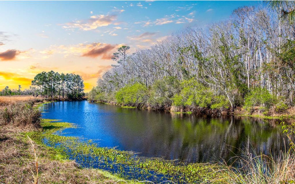 Photo of 4521 NW 32nd Street, Jennings, FL 32053 (MLS # 130716)