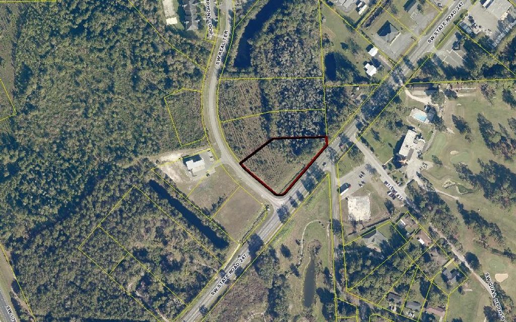 Photo of Sr-247/Real Terr (1), Lake City, FL 32025 (MLS # 23278)