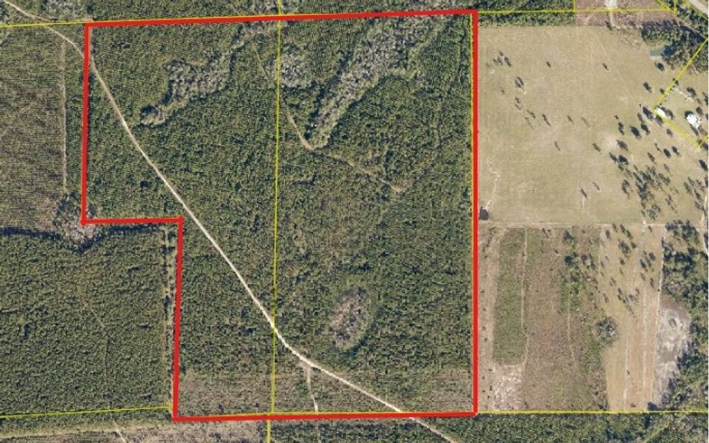 Photo of SE Cr 241, Lake City, FL 32024 (MLS # 129697)