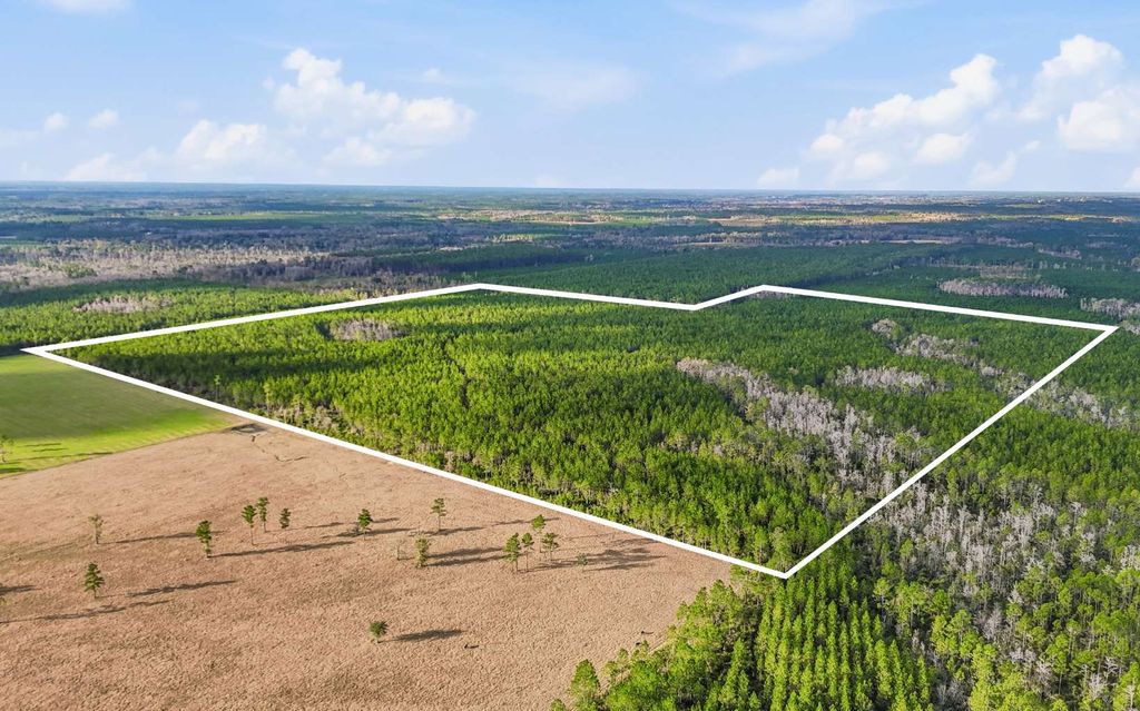 Photo of SE Cr 241, Lake City, FL 32024 (MLS # 129697)