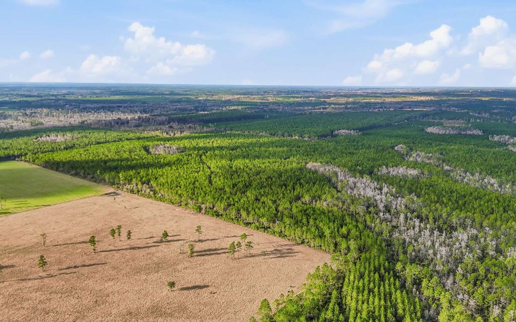 Photo of SE Cr 241, Lake City, FL 32024 (MLS # 129697)