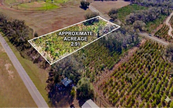 SW ANASTASIA WAY, MADISON, FL 32340 - Image e382c1b47f05036bfd8ed01d16e804d0/596291345