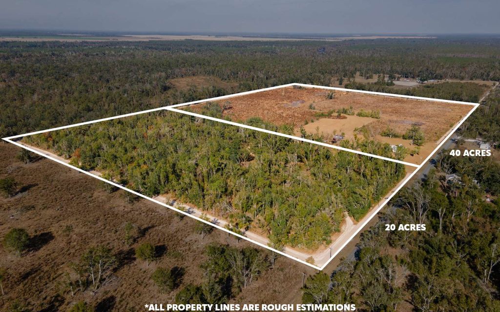 Photo of 7091 River Road, Live Oak, FL 32060 (MLS # 129391)