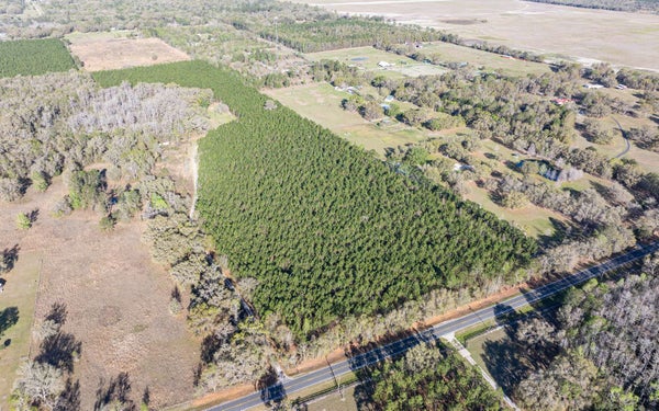 SW TUSTENUGGEE AVE, FORT WHITE, FL 32038 - Image e4e8571814a55b830d465ff976bf333d/2501408901