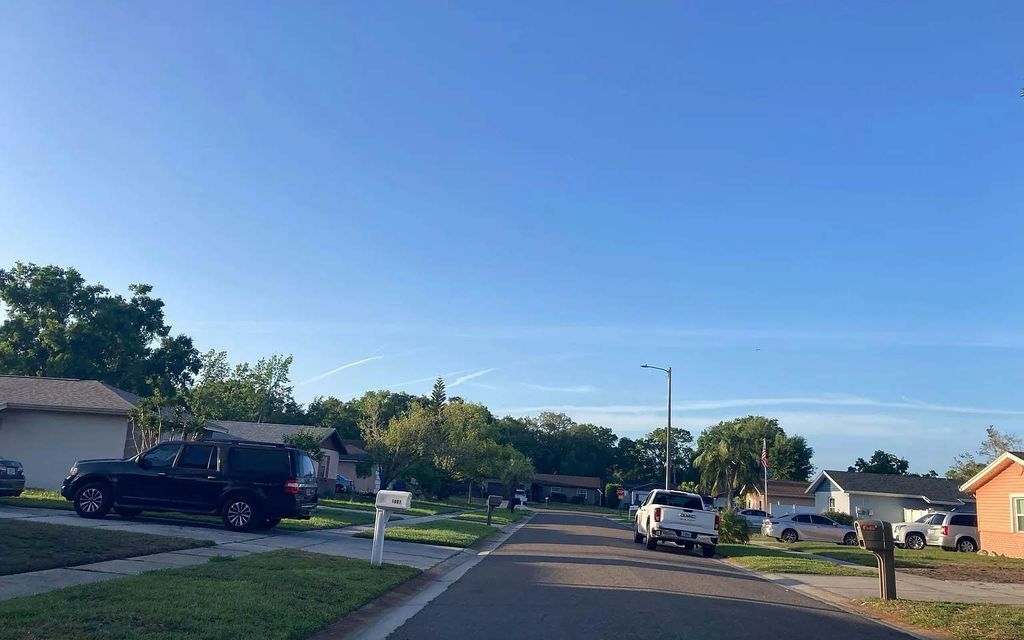 Photo of 1002 Norman Ct, Other, FL 33510 (MLS # 131462)