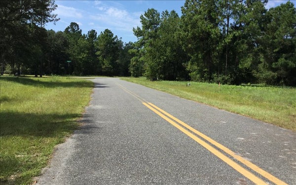 171 NW OAK LEAF GLN, LAKE CITY, FL 32055 - Image e8d5644bc61a3fb24567af2b2c03bfff/550610053