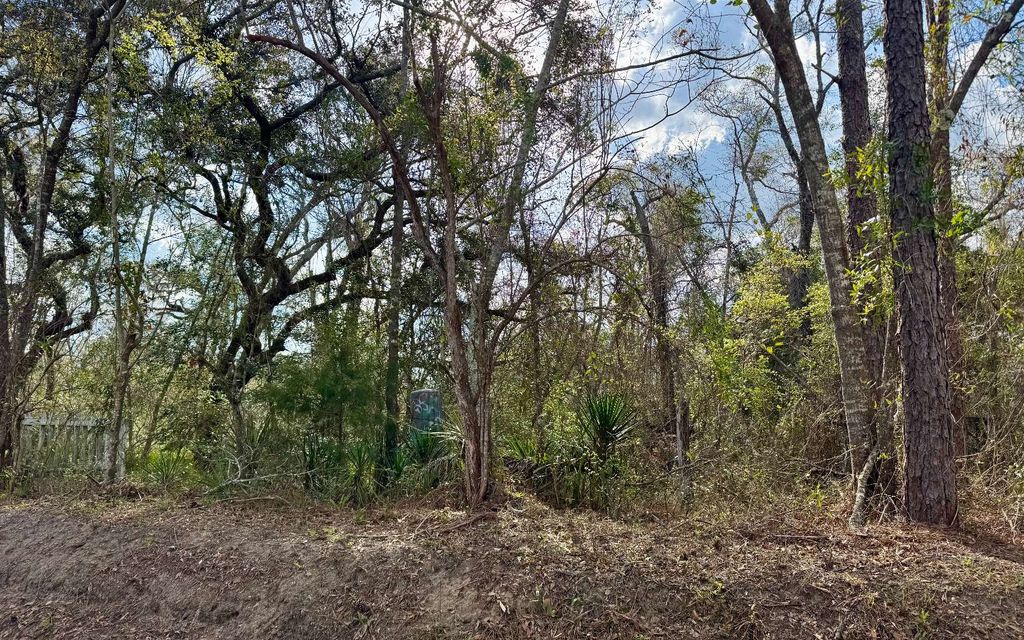 Photo of 4661 NW 21st Place, Jasper, FL 32052 (MLS # 130551)