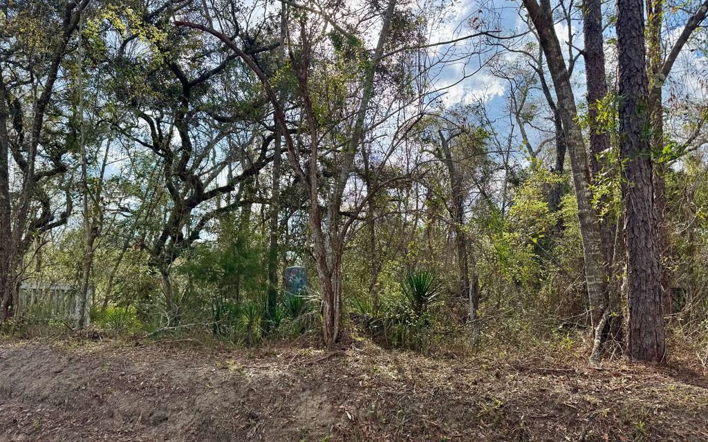 Photo of 4661 NW 21st Place, Jasper, FL 32052 (MLS # 130551)