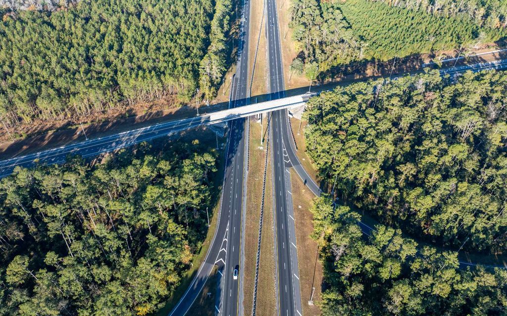 Photo of TBD Cr 137, Wellborn, FL 32094 (MLS # 129412)