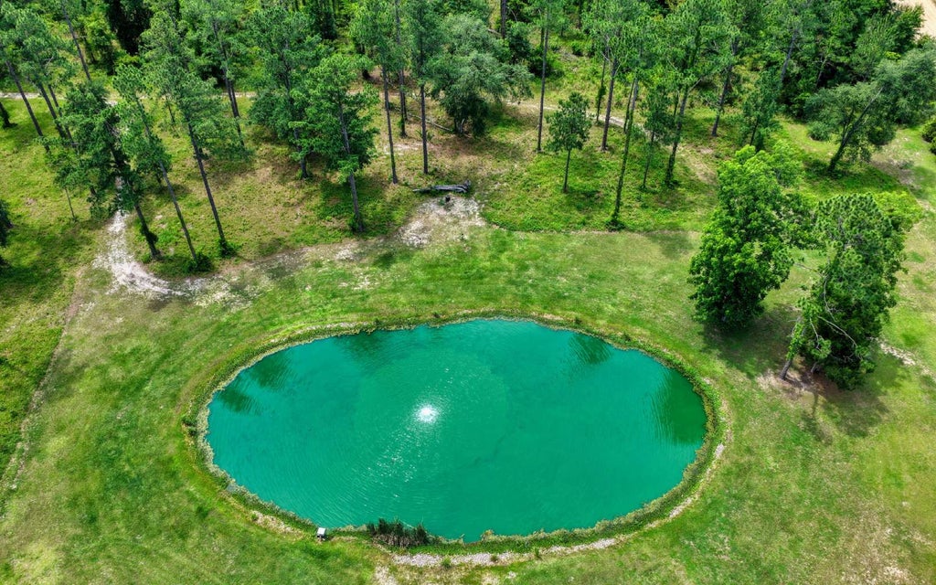 Photo of 424 NE Blue Ridge Landing, Lee, FL 32059 (MLS # 131898)