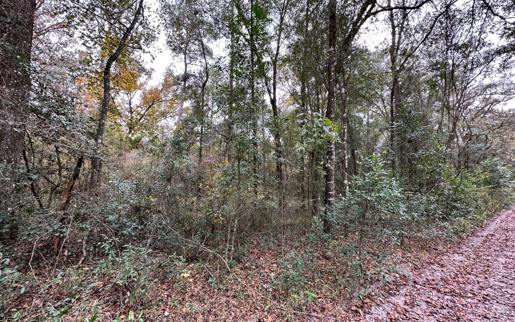 Photo 1 of 4 — TBD OFF 10TH TER. LOT 14, Live Oak, FL 32060