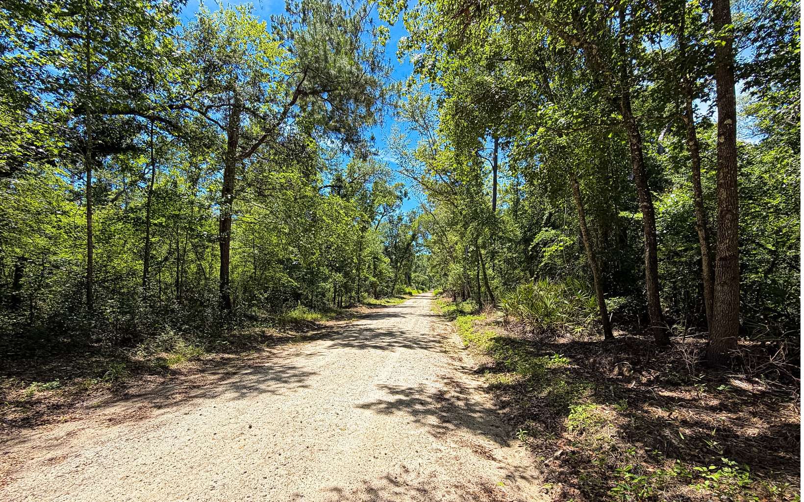 Photo 1 of 19 — TBA 3 NW KINGS ROAD, Mayo, FL 32066
