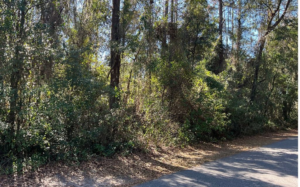 Photo of SW Davaca Glen, Lake City, FL 32025 (MLS # 129974)