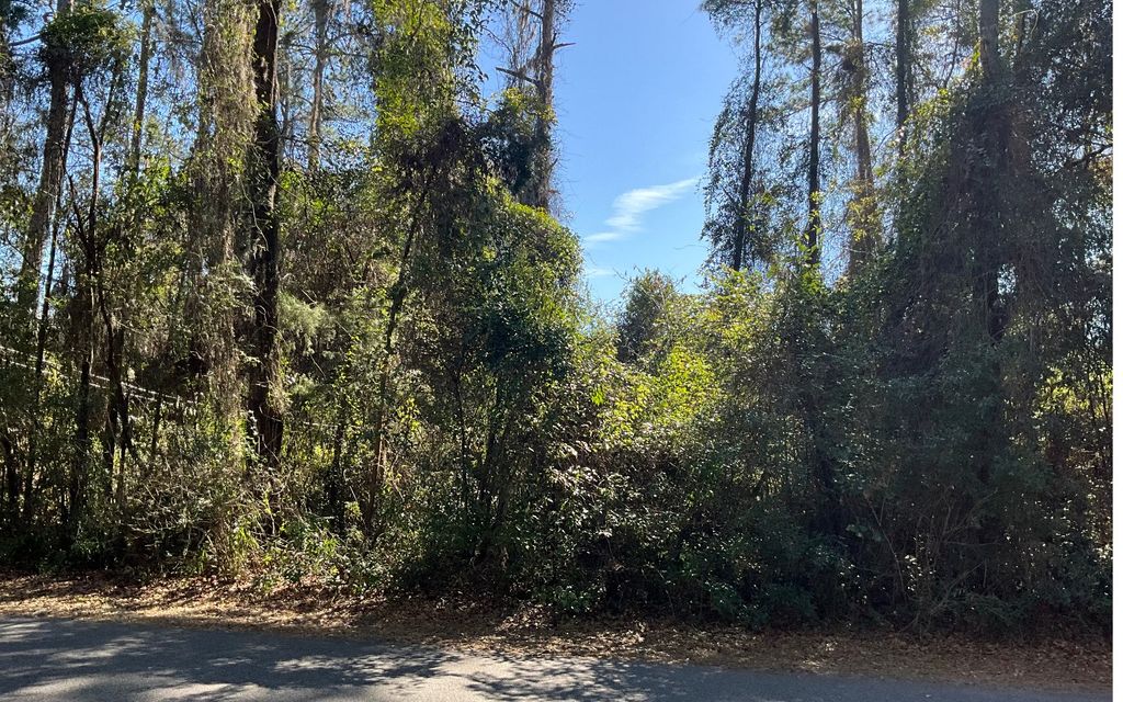 Photo of SW Davaca Glen, Lake City, FL 32025 (MLS # 129974)