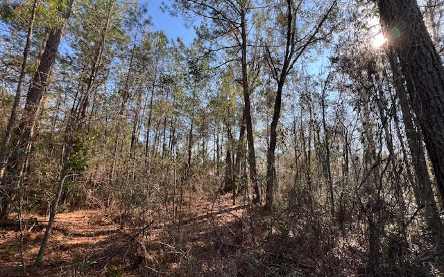 Photo 1 of 5 — 748 NW COUNTRY LAKE DRIVE, Lake City, FL 32055