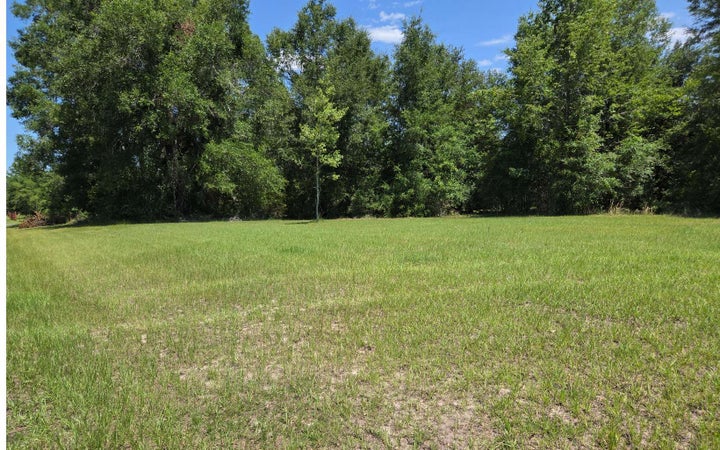 Photo 1 of 14 — 00 154TH PATH, Live Oak 32060