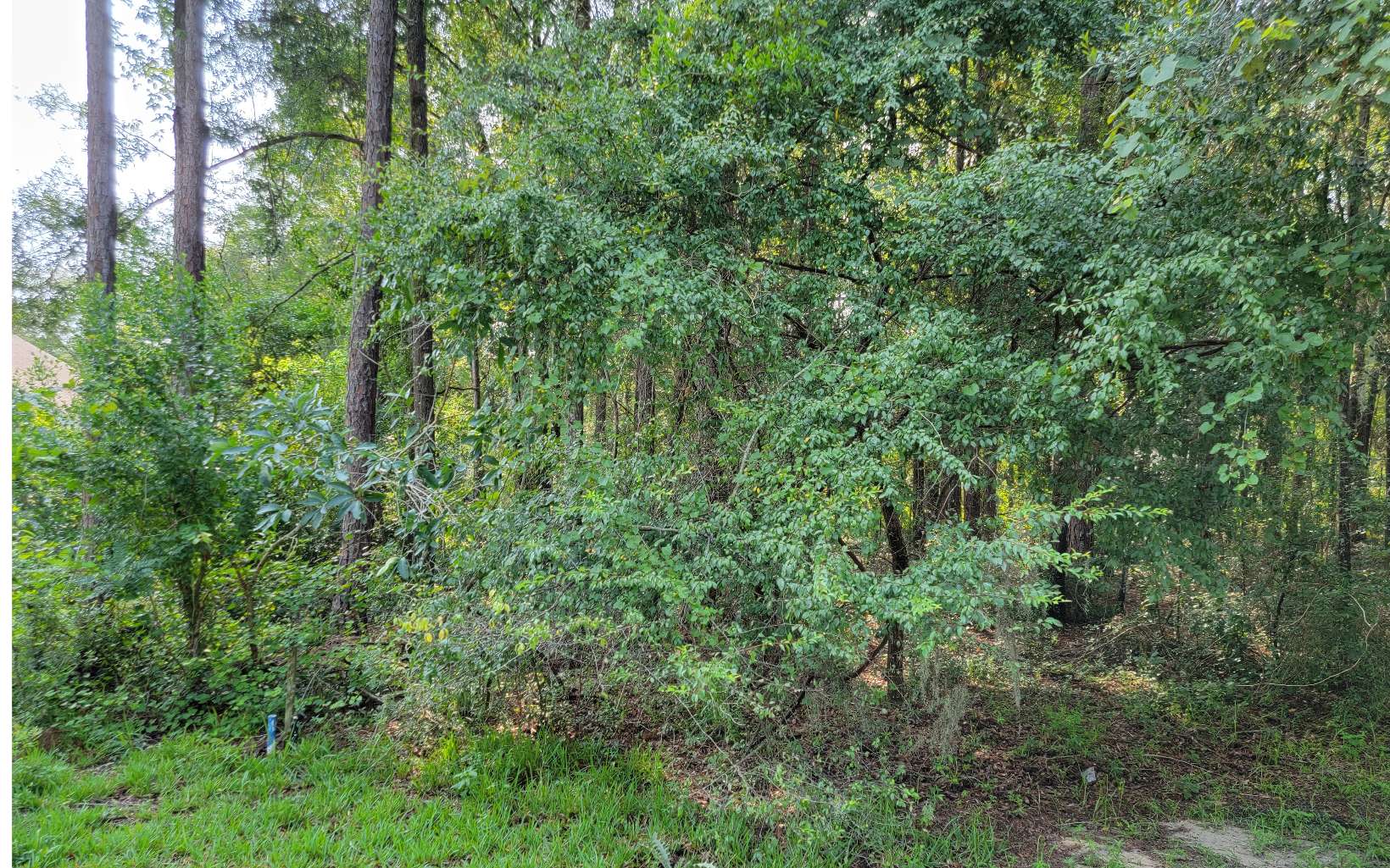 Photo 1 of 4 — LOT11 W WILDWOOD CIRCLE, Live Oak 32060