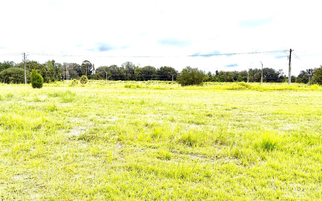 Photo of TBD Ranchera St, Live Oak, FL 32064 (MLS # 128707)