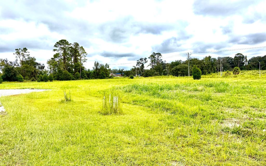 Photo of TBD Ranchera St, Live Oak, FL 32064 (MLS # 128707)