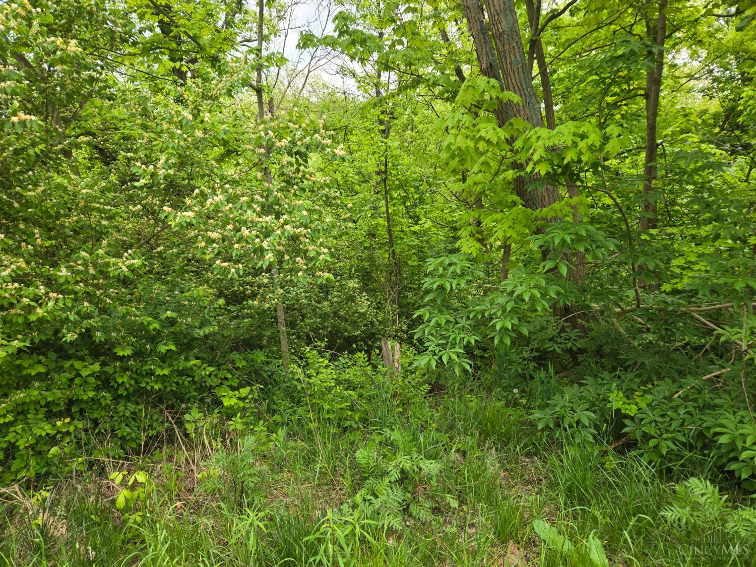 1781 Heidi Haven Drive, Lawrenceburg, Indiana image 3