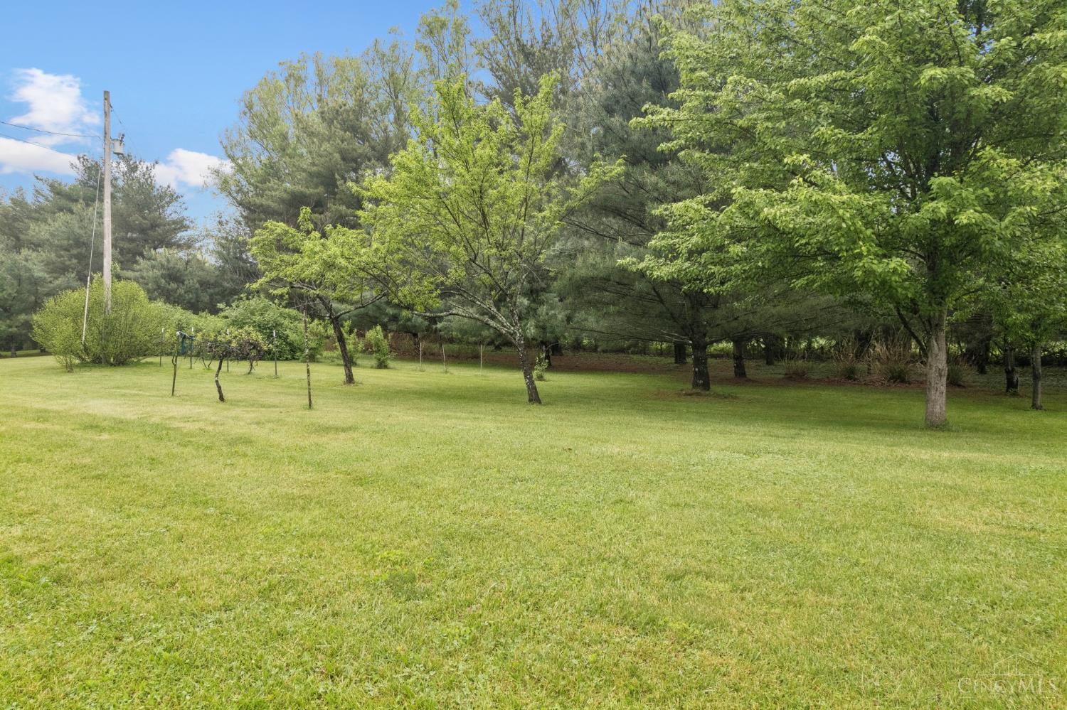 144 Jo Ann Dr Dr, Manchester, Ohio image 10