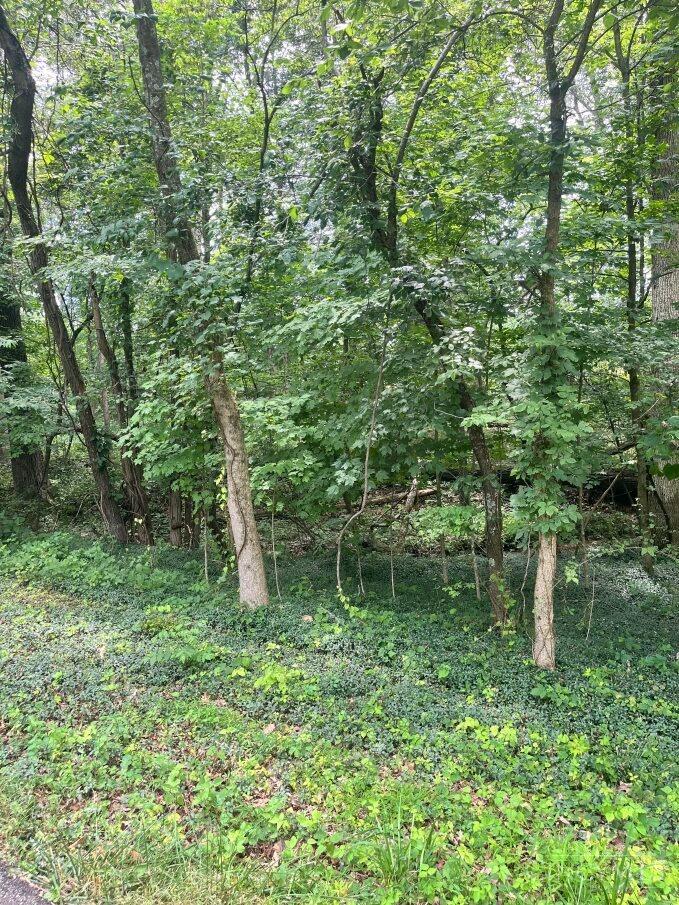 Lot 883 Horse Shoe Drive, Jackson Twp, Ohio image 3