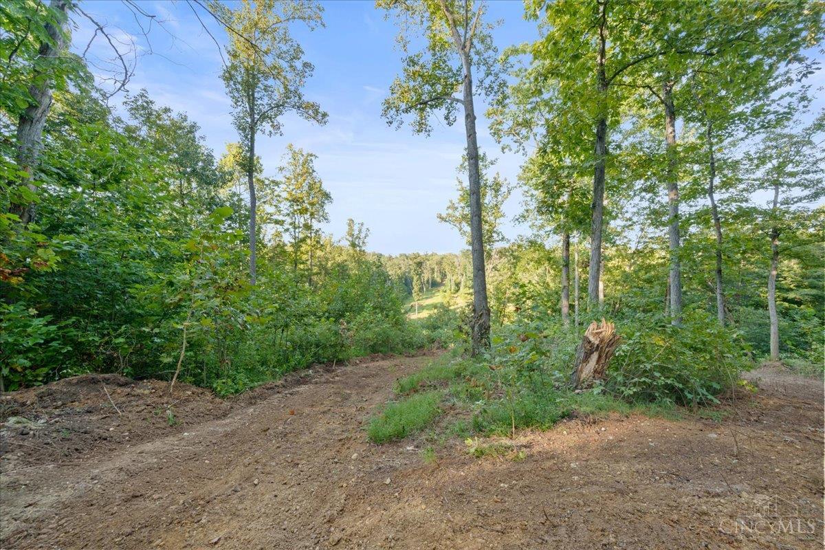 113 Waggoner Riffle Road