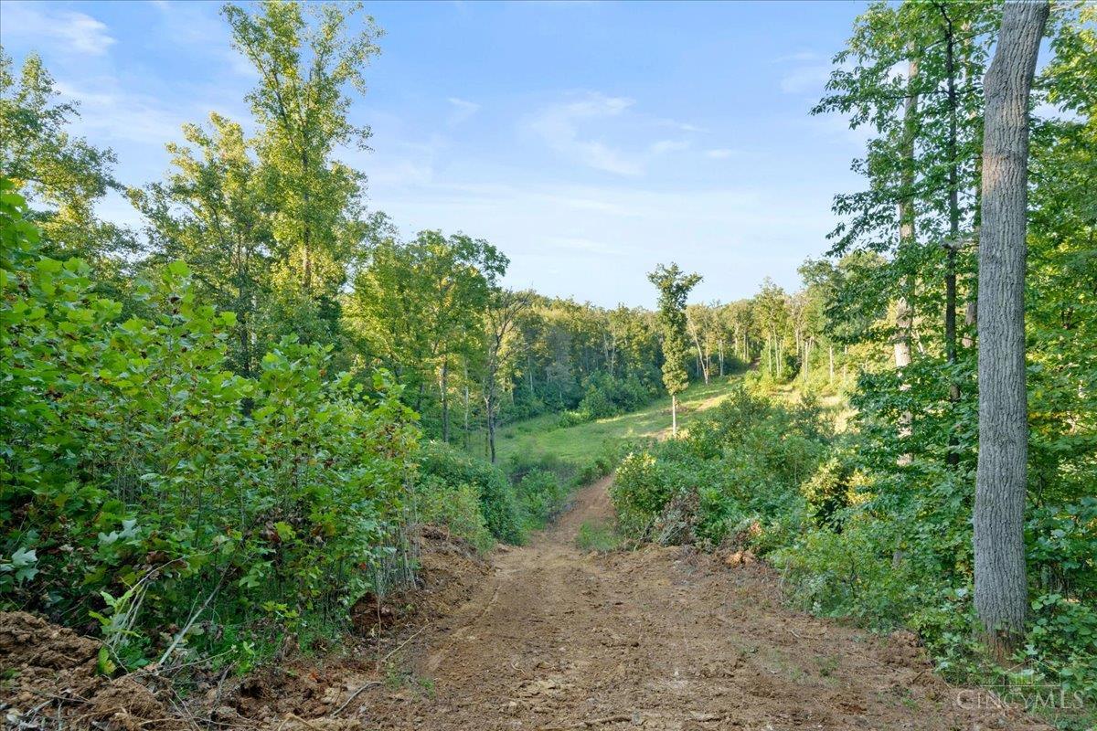 113 Waggoner Riffle Road