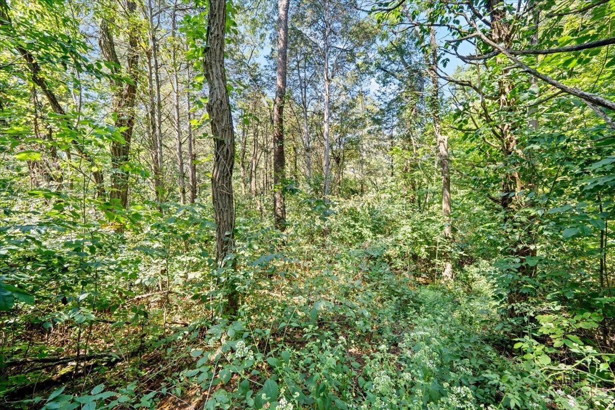 1061 Richardson Road