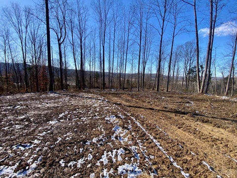 Vacant Land For Sale - AC Us Rt 52<br/> Manchester, OH 45144