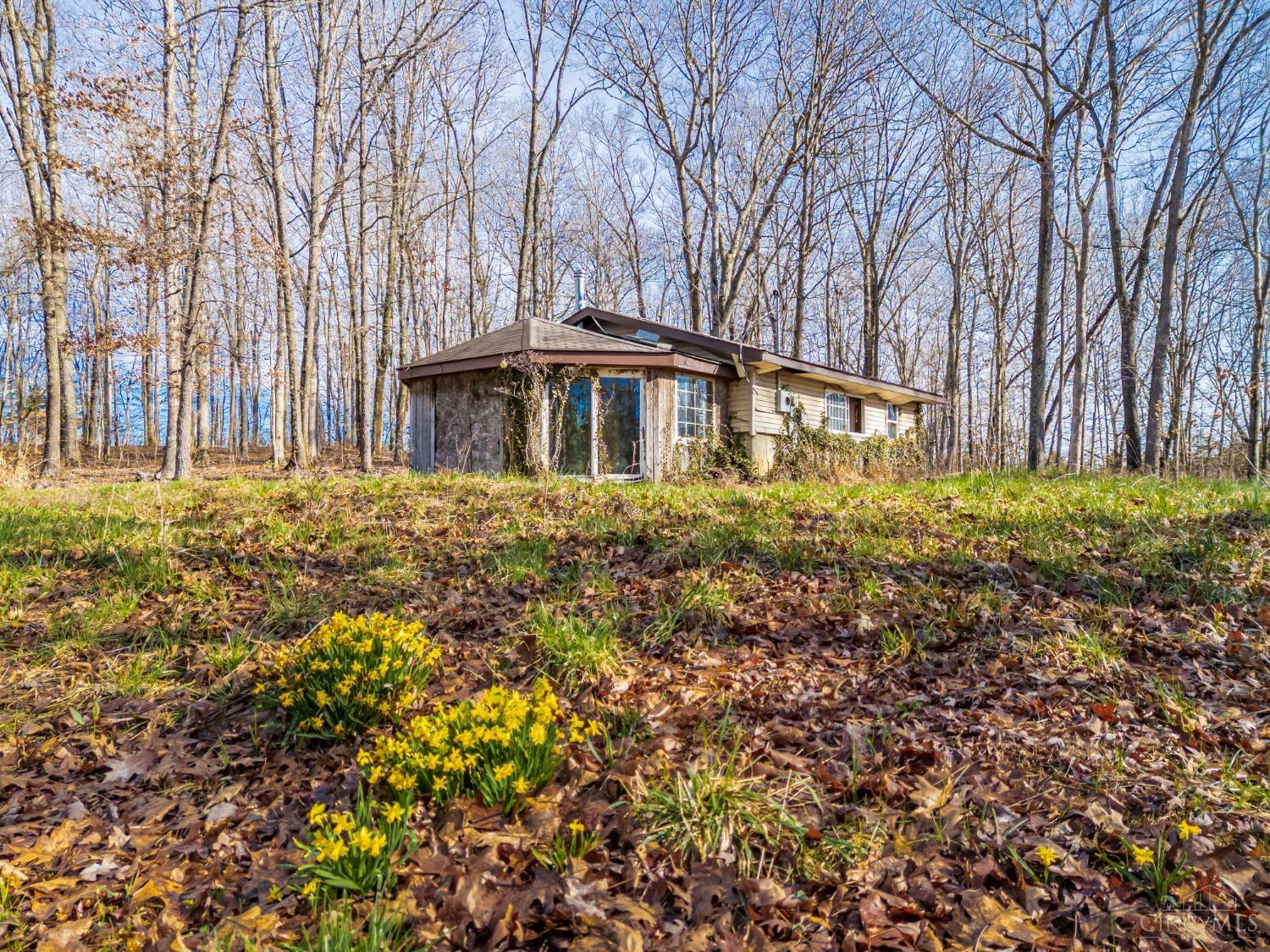 2030 Cedar Mills Road, Blue Creek, Ohio image 10