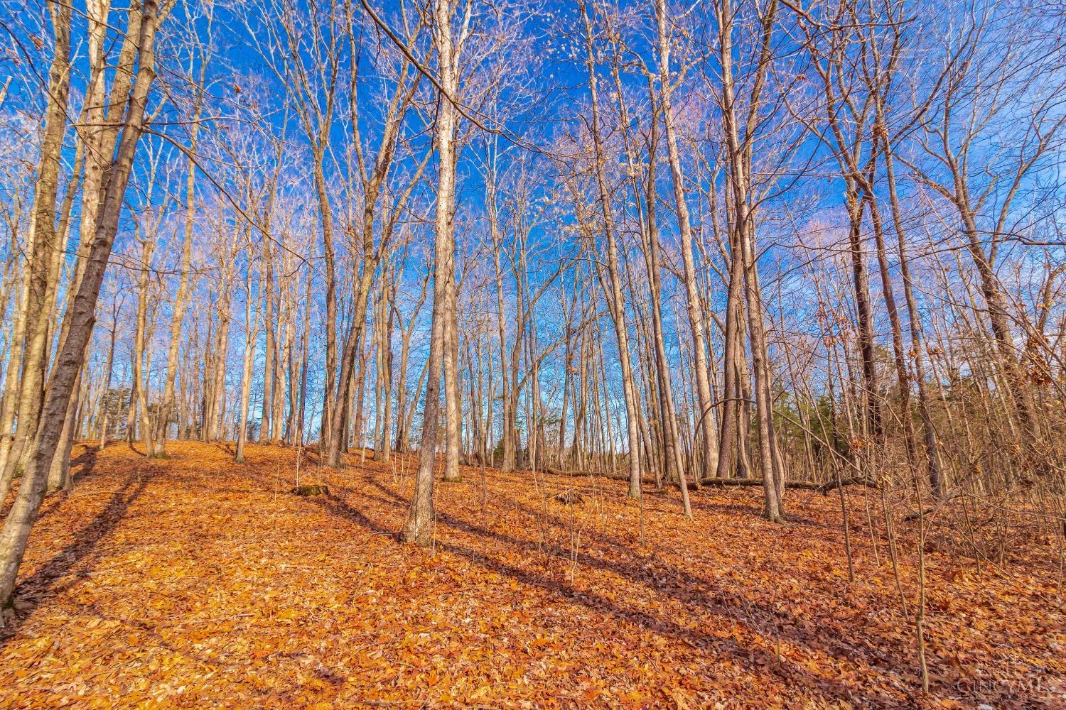 2030 Cedar Mills Road, Blue Creek, Ohio image 19
