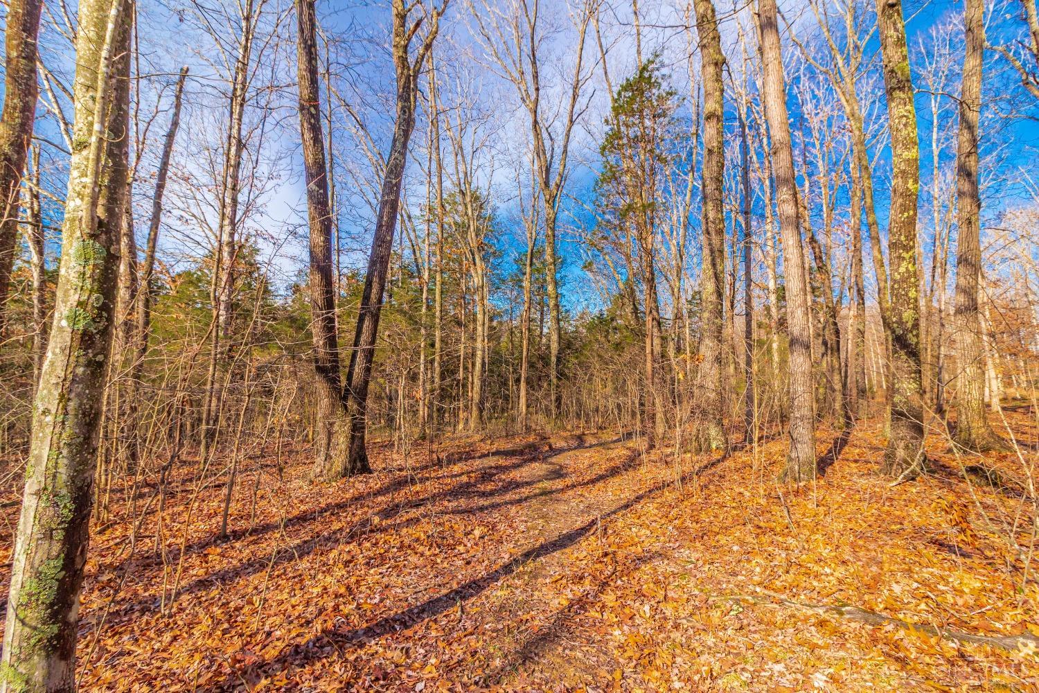 2030 Cedar Mills Road, Blue Creek, Ohio image 17