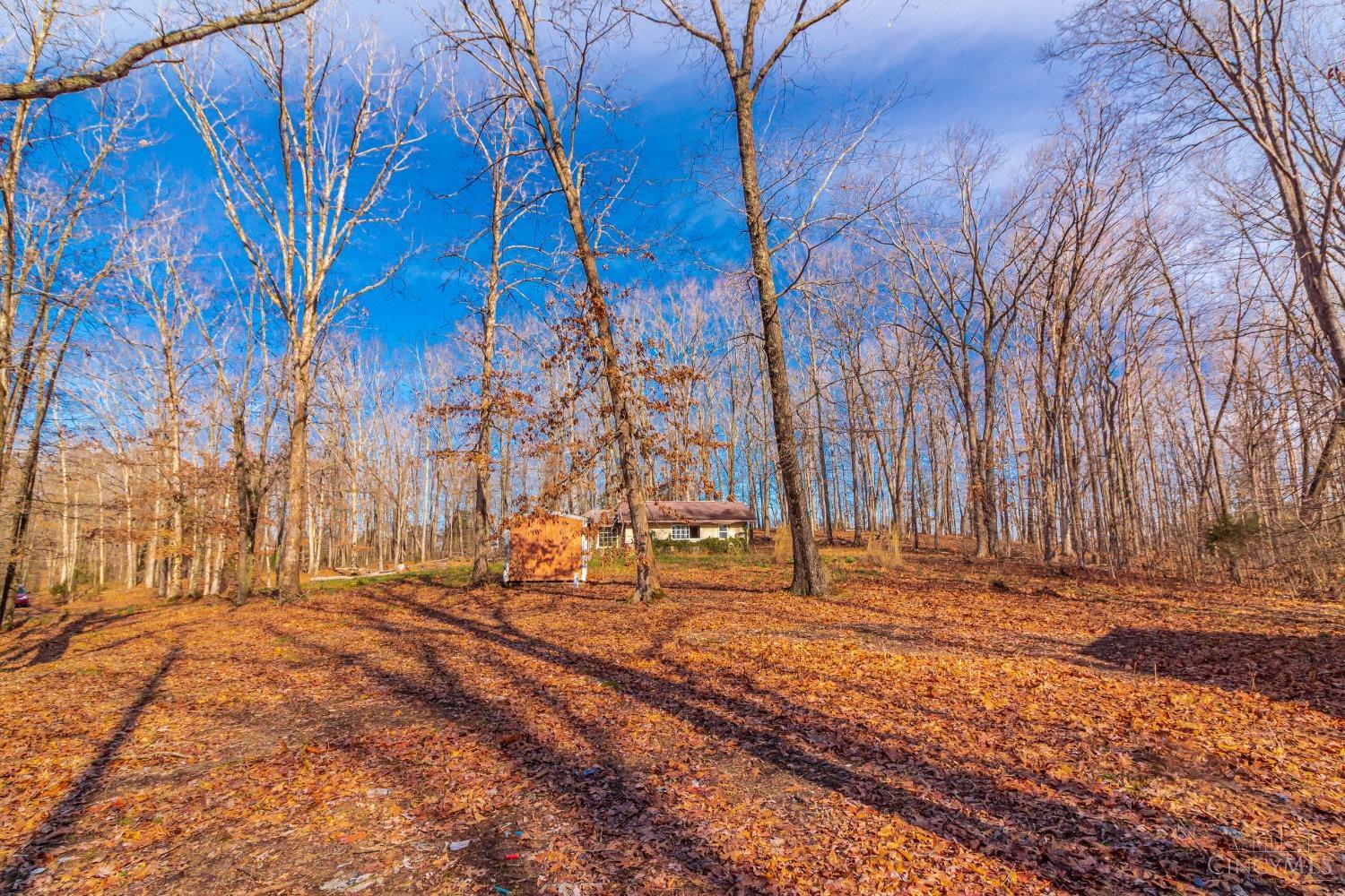 2030 Cedar Mills Road, Blue Creek, Ohio image 16