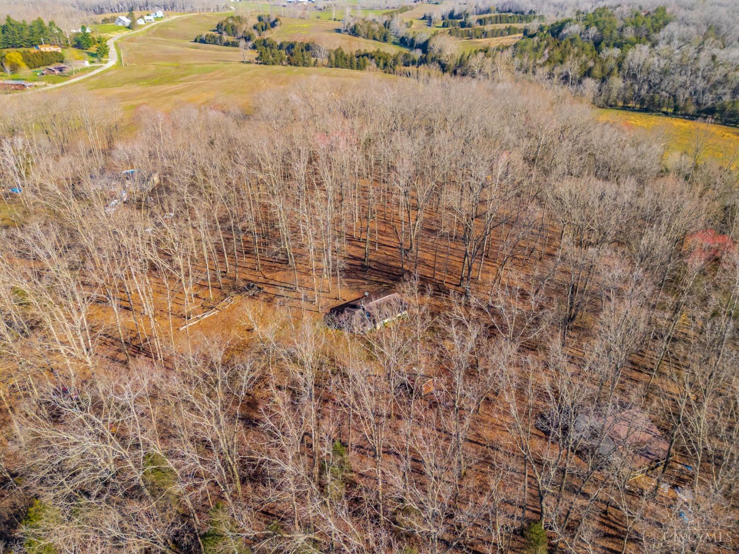 2030 Cedar Mills Road, Blue Creek, Ohio image 4