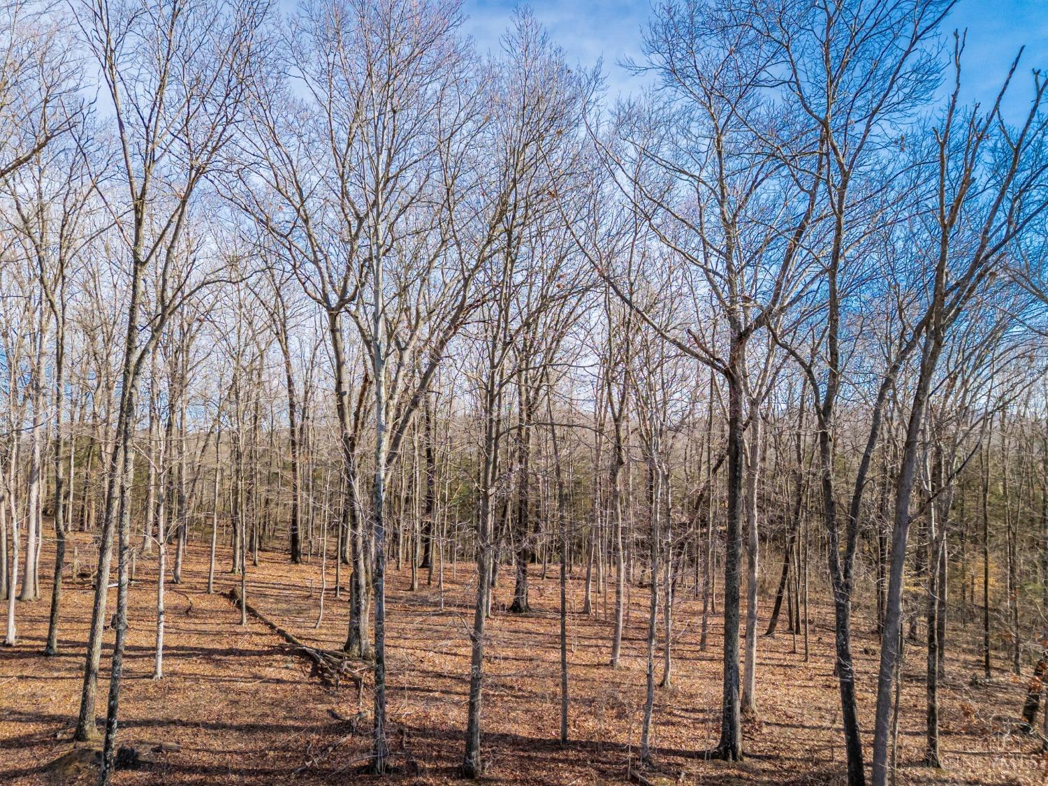 2030 Cedar Mills Road, Blue Creek, Ohio image 9