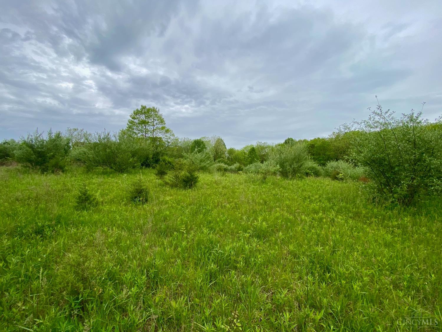 Ac Patton Road, Winchester, Ohio image 9