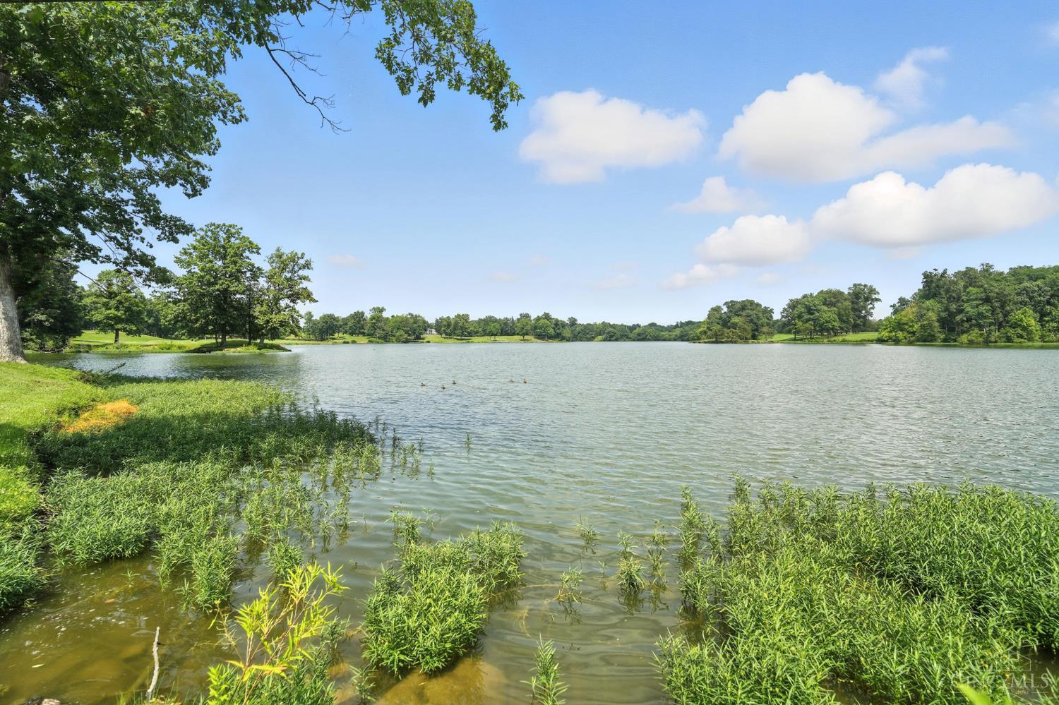 Turtle Creek Twp, Ohio 45036, United States, 3 Bedrooms Bedrooms, ,3 BathroomsBathrooms,Residential,Active,177302