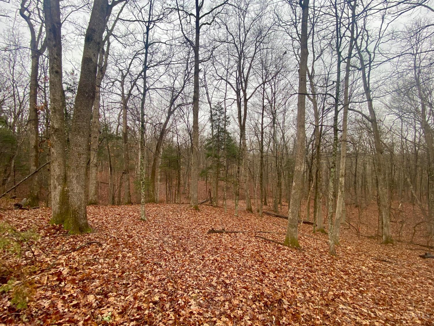 435 Rolling Woods Drive